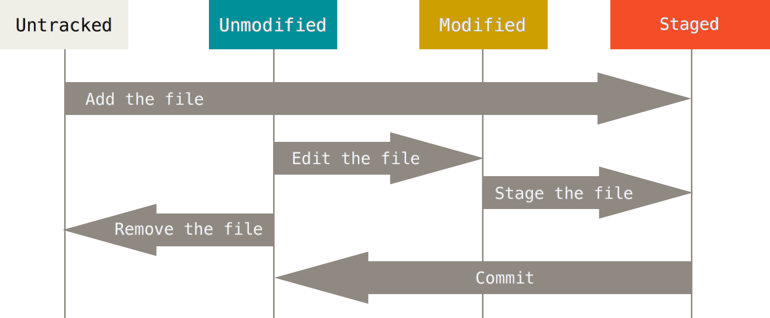 lifecycle